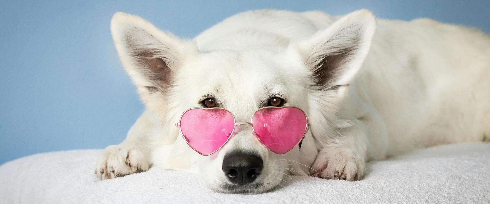 Art Hotel Commercianti Bologna Art Hotel Commercianti Bologna